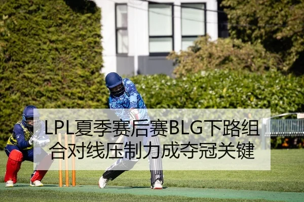 LPL夏季赛后赛BLG下路组合对线压制力成夺冠关键